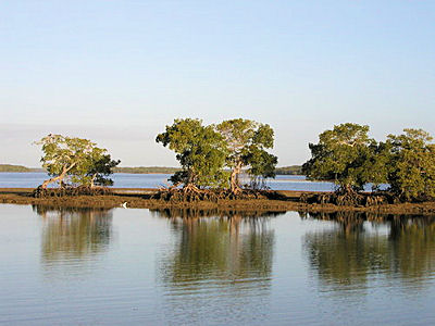 Kingston Key (Florida)