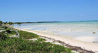 Long Key (ou Rattlesnake key) (Florida Keys)