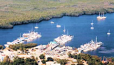 Mangrove Marina (Key Largo)