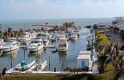 Molasses Reef Marina (Key Largo)