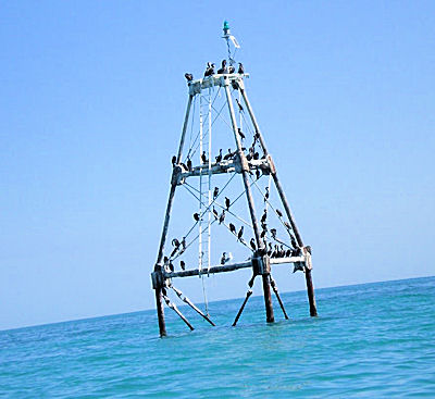 Mosquito Bank (Key Largo)