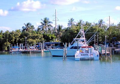Robbie's Marina (Lower Matecumbe Key)