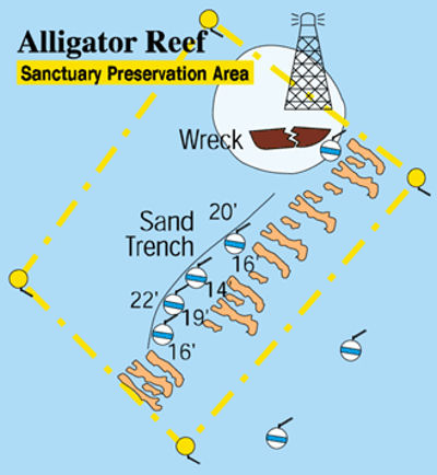 Alligator Reef (Upper Matecumbe)