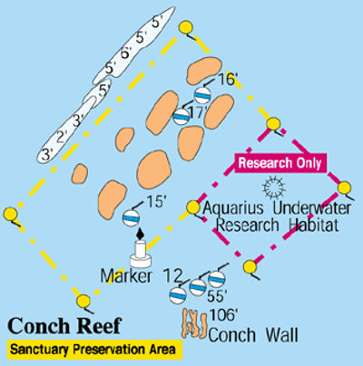 Conch Reef (Key Largo)