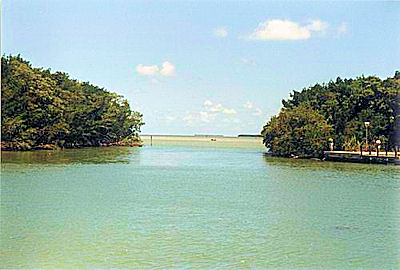 Flamingo canal (Florida)