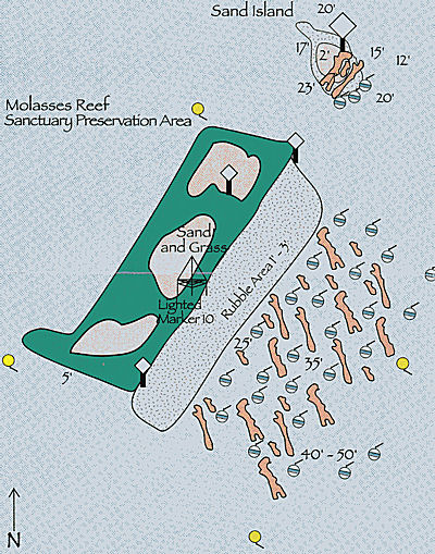 Molasses Reef (Key Largo)