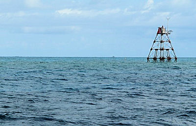 Molasses Reef (Key Largo)