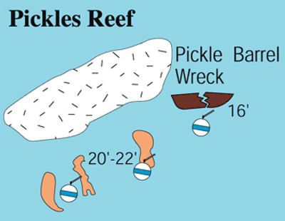 Pickles Reef (Key Largo)