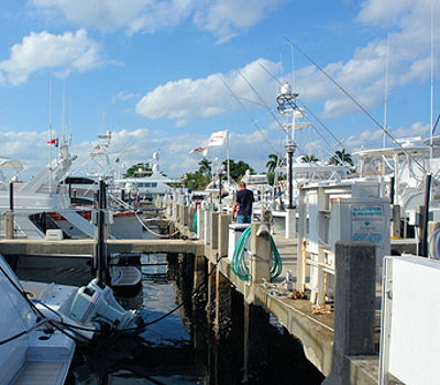 Pier 66 Marina (Fort Lauderdale)