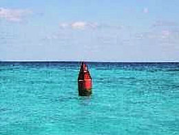 Crocker Reef (Plantation Key)