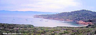 Baie du Langoustier (Porquerolles)