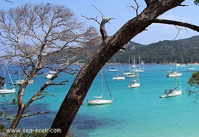 Baie de la Courtade (Porquerolles)