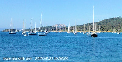 Baie de la Courtade (Porquerolles)