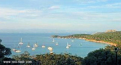 Baie de la Courtade (Porquerolles)