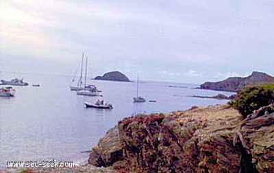 Anse de la Galère (Porquerolles)