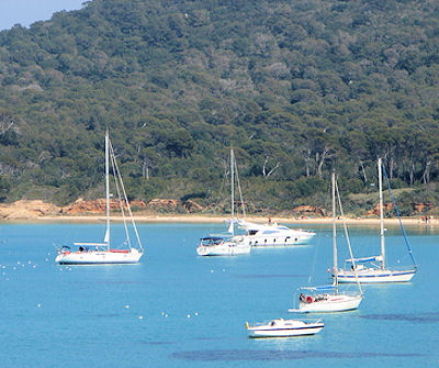 Plage Notre Dame (Porquerolles)