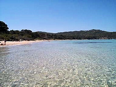 Plage Notre Dame (Porquerolles)