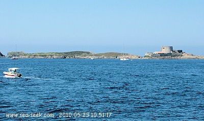 Ilôt du Petit Langoustier (Porquerolles)