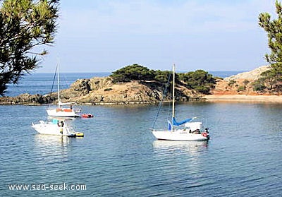 Anse du Parfait ou Port Faye  (Porquerolles)