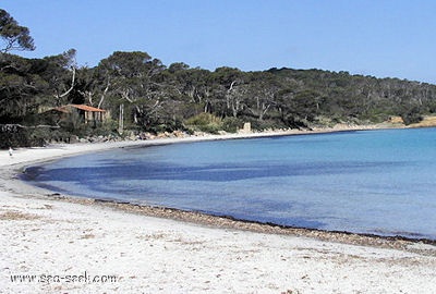 Plage d'Argent ou anse du Bon Renaud (Porquerolles)