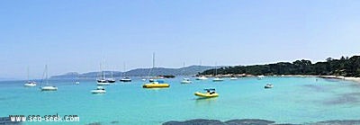 Plage d'Argent ou anse du Bon Renaud (Porquerolles)