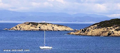 Cap Rousset (Porquerolles)