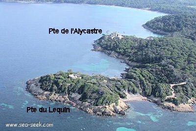 Pointe de l'Alicastre (Porquerolles)