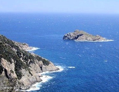 Îlot de la Gabinière (Port-Cros)