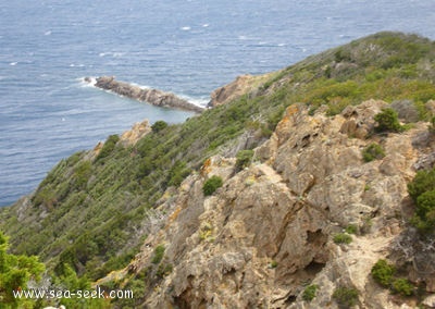 Pointe de la Galère (Port-Cros)