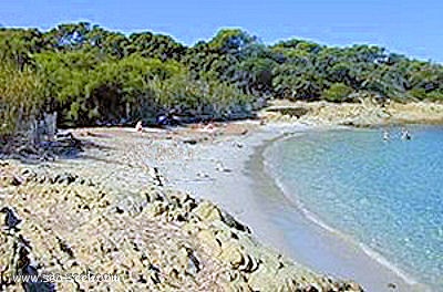 Plage du Sud (Port-Cros)