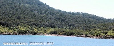 Plage du Sud (Port-Cros)