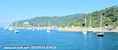 Port de Port-Cros