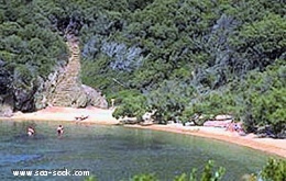 Baie de la Palud (Port-Cros)