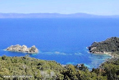 Baie de la Palud (Port-Cros)