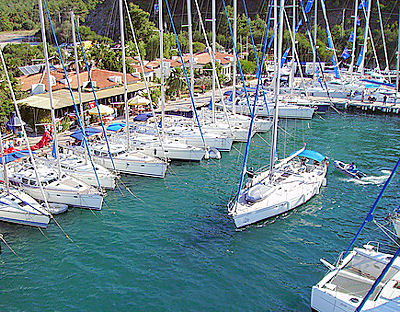 Albatros Marina 