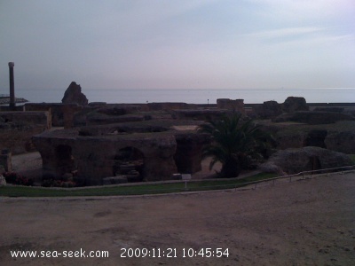 Thermes d'Antonin de Carthage