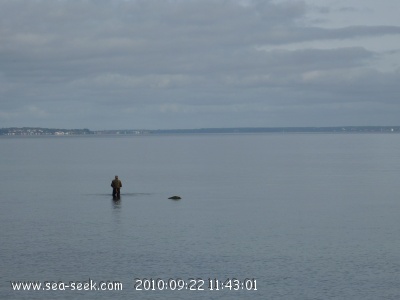 Øresund