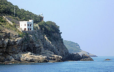 Punta Lividonia