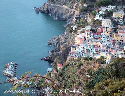 Porticciolo di Riomaggiore