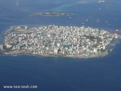 Malé island (Kaafu)