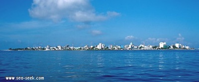 Malé island (Kaafu)