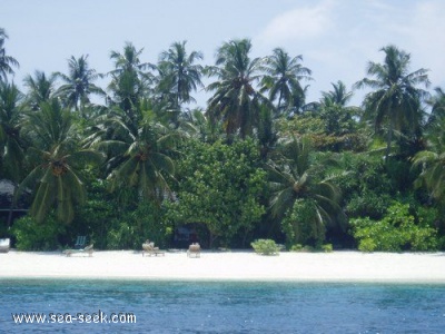 Bandos island (N Kaafu)