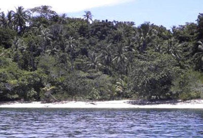 Teluk Ayer Tuan (Pulau Dayang)