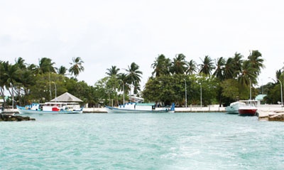 Goidhoo island (Goidhoo)