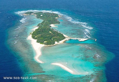 Helengeli islet (N Kaafu)