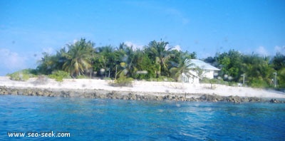 Kagi islet (N Kaafu)