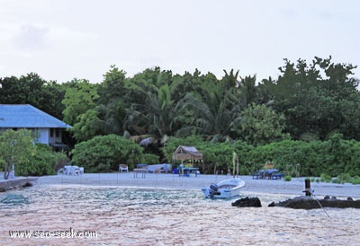 Kagi islet (N Kaafu)