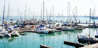 Tanjong city marina (Pinang)