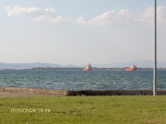 Aliaga