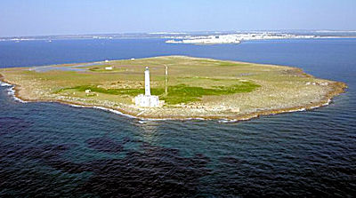 Isola S. Andrea (Gallipoli)